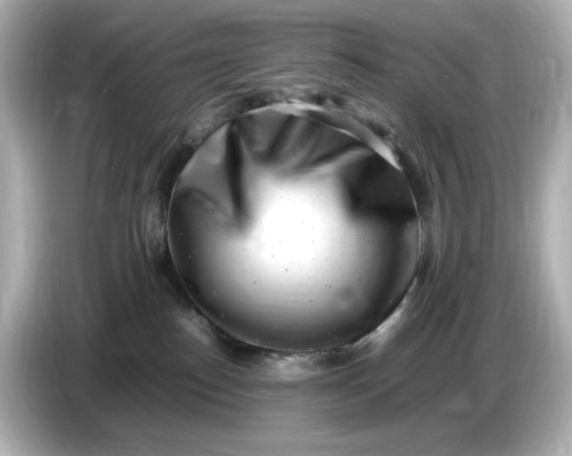 X0000086910186200704301044