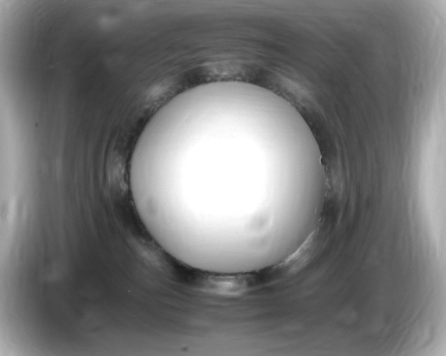 X0000086910187200704301044