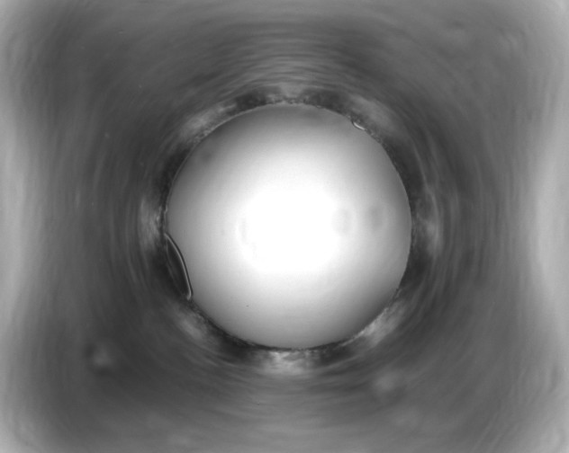 X0000086910188200704301044