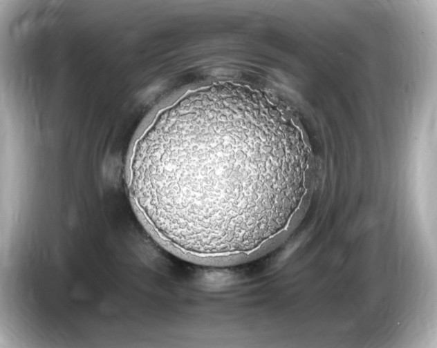 X0000086910189200704301044