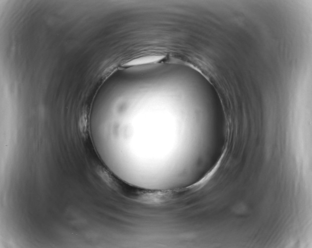 X0000086910190200704301044