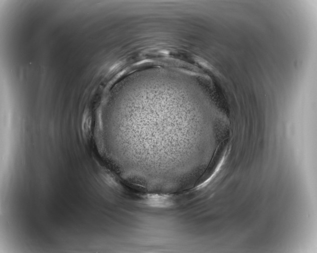 X0000086910192200704301044