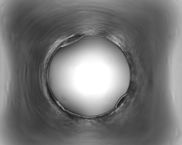 X0000086910193200704301044