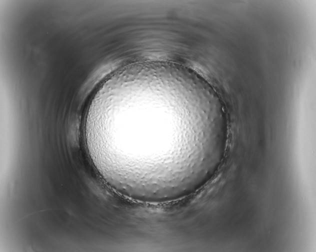 X0000086910194200704301044