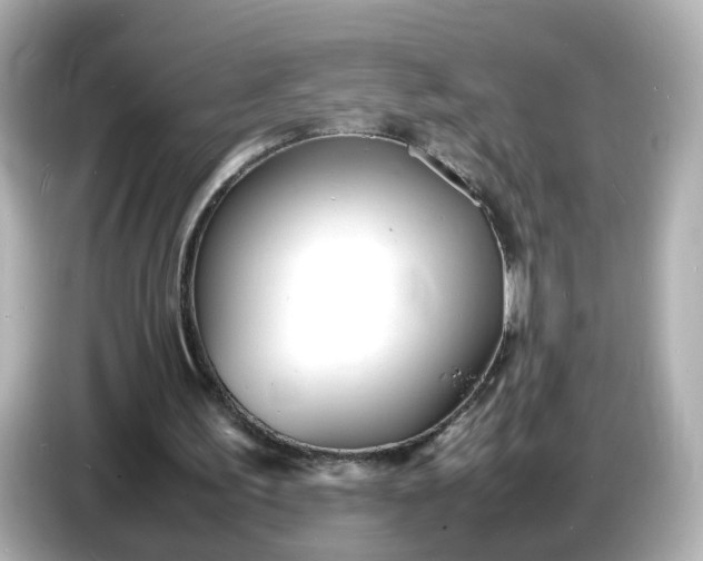 X0000086910195200704301044