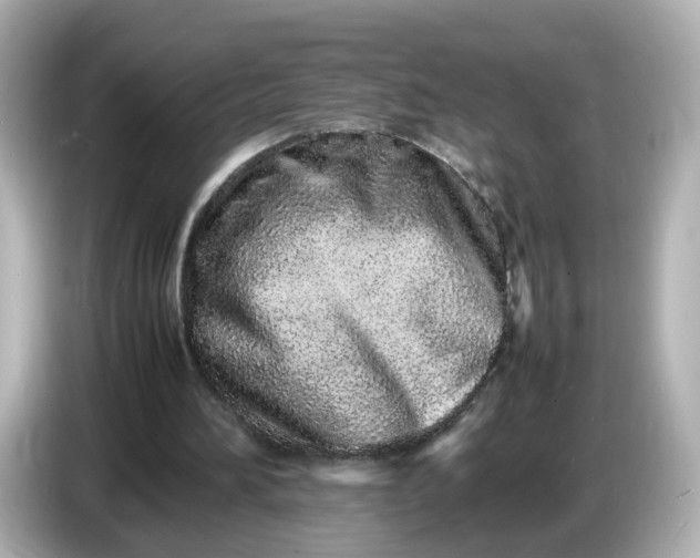 X0000086910196200704301044