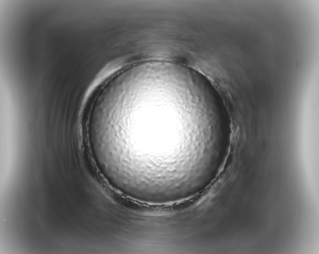 X0000086910198200704301044