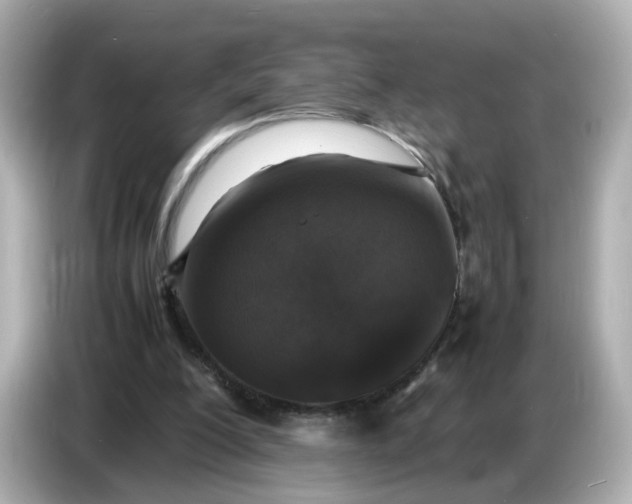 X0000086910200200704301044