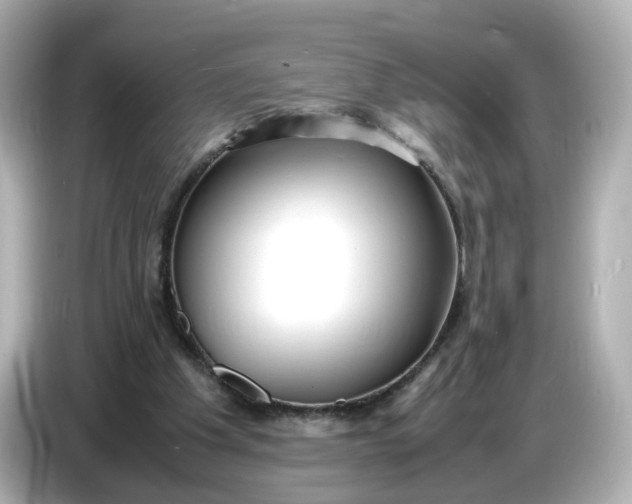 X0000086910201200704301044