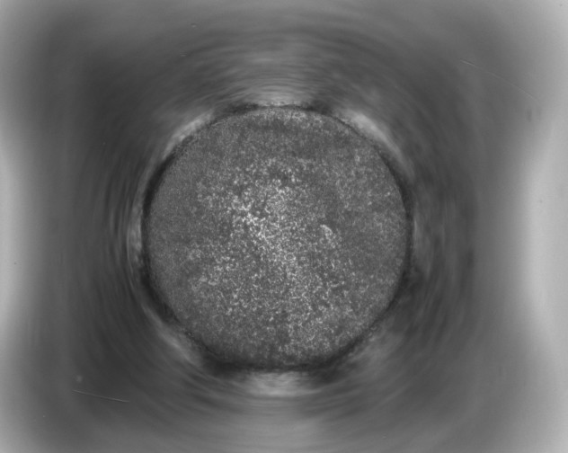 X0000086910202200704301044