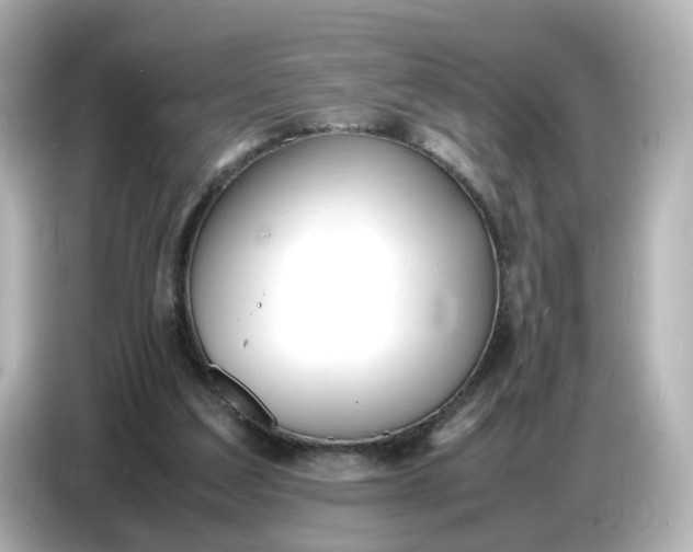 X0000086910203200704301044