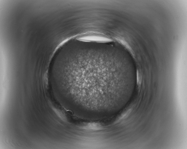 X0000086910204200704301044