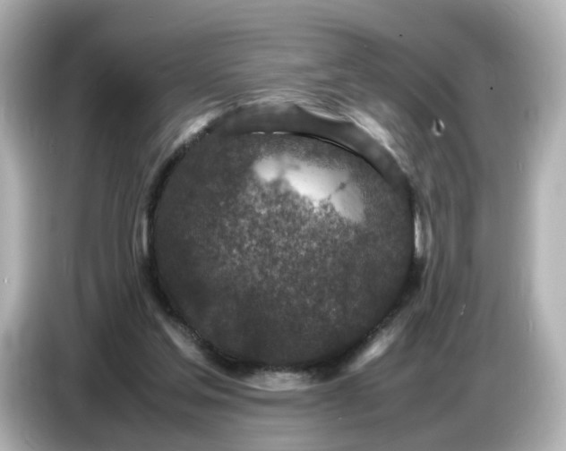 X0000086910205200704301044