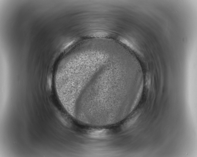 X0000086910206200704301044