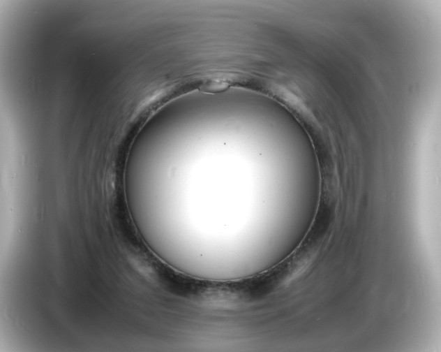 X0000086910207200704301044