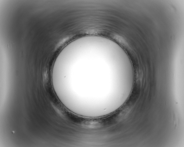 X0000086910208200704301044