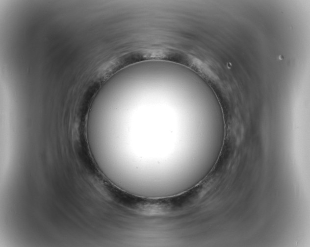 X0000086910209200704301044