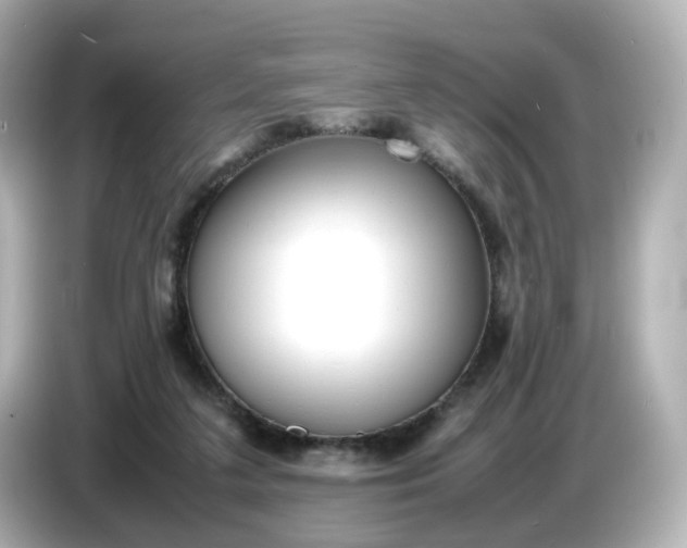 X0000086910211200704301044