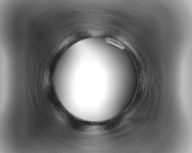 X0000086910212200704301044