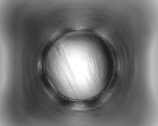 X0000086910214200704301044