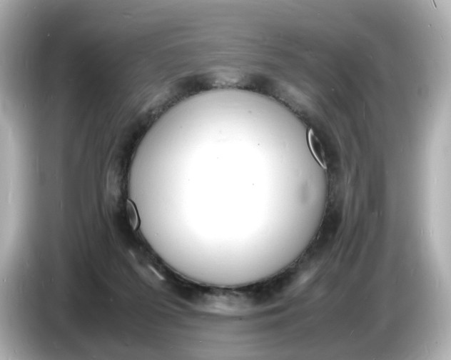 X0000086910215200704301044