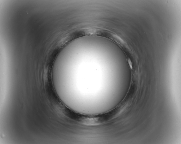 X0000086910217200704301044