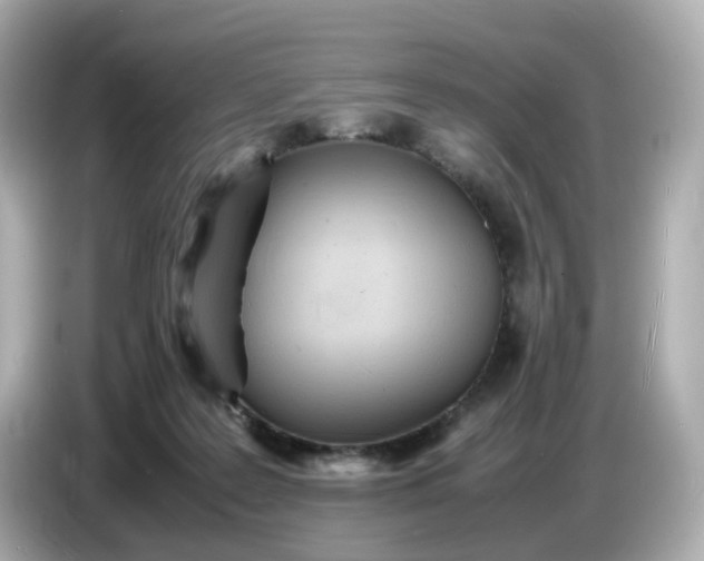 X0000086910219200704301043