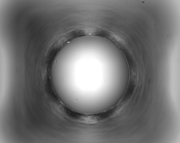 X0000086910221200704301043