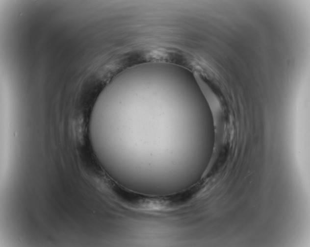 X0000086910223200704301043