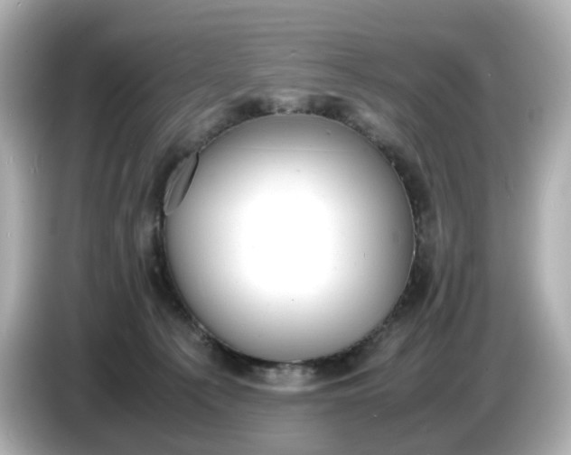 X0000086910225200704301043