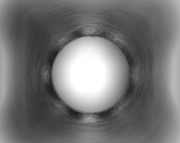 X0000086910226200704301043