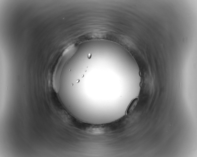 X0000086910228200704301043