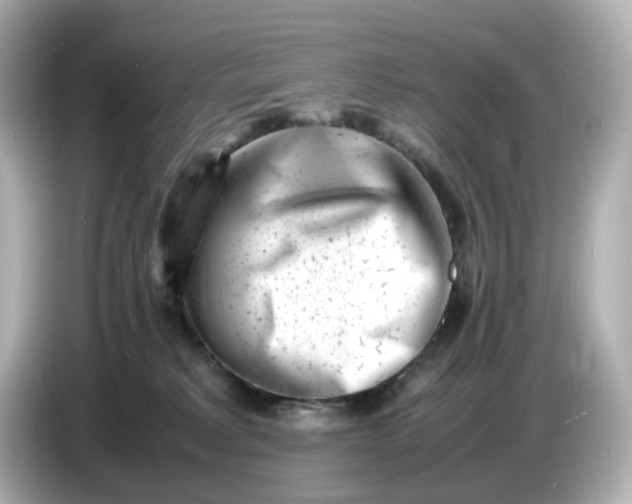 X0000086910229200704301043