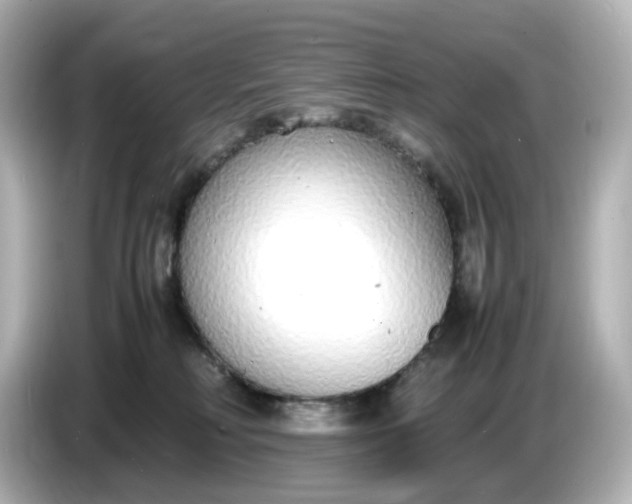 X0000086910230200704301043