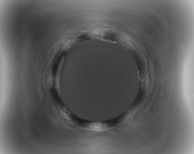 X0000086910231200704301043