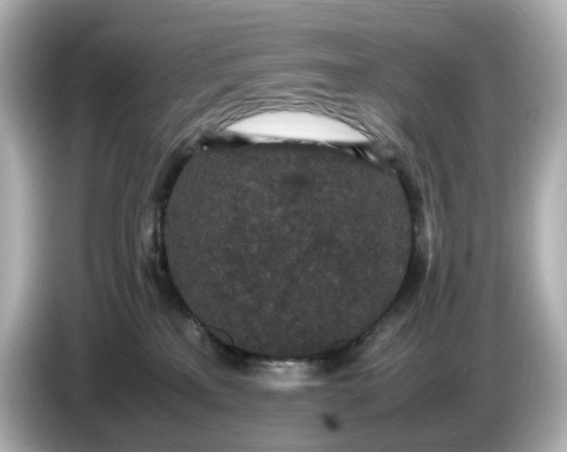 X0000086910233200704301043