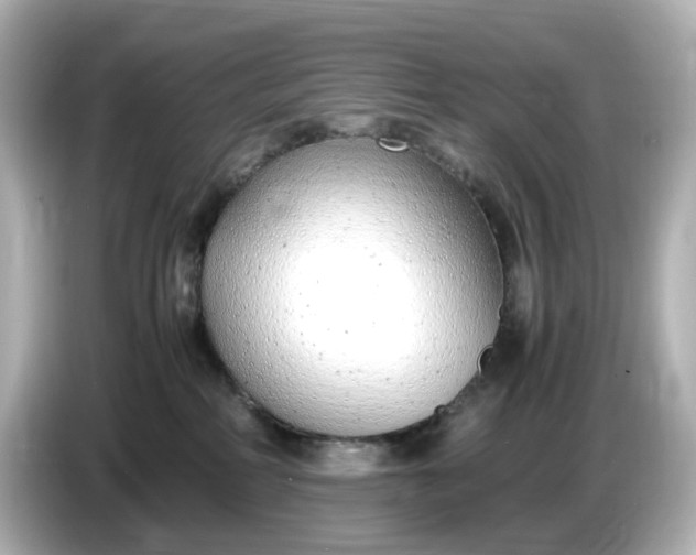 X0000086910234200704301043