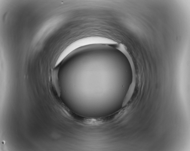 X0000086910239200704301043