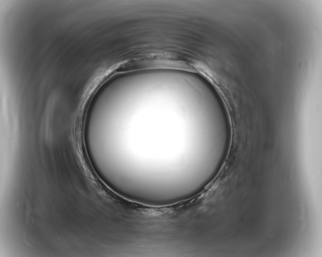 X0000086910241200704301043