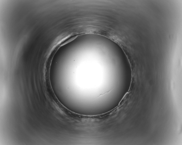 X0000086910242200704301043