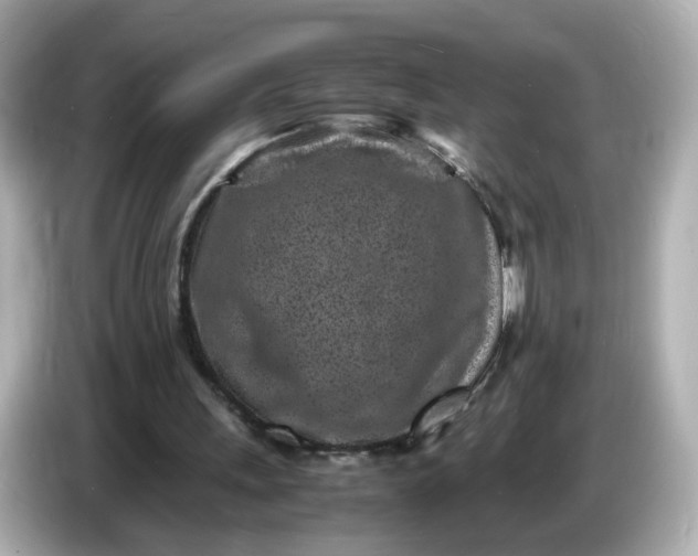 X0000086910243200704301043