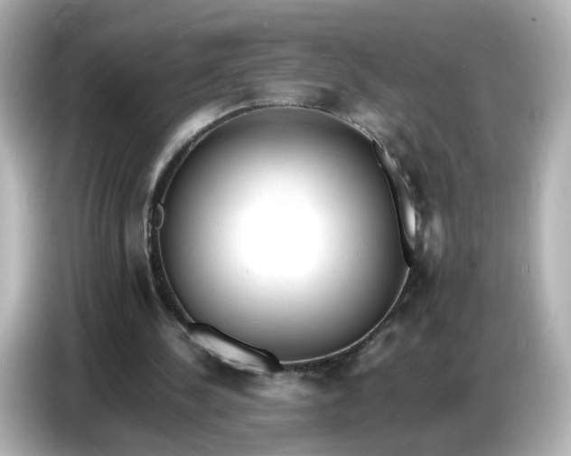 X0000086910244200704301043