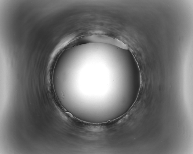 X0000086910245200704301043