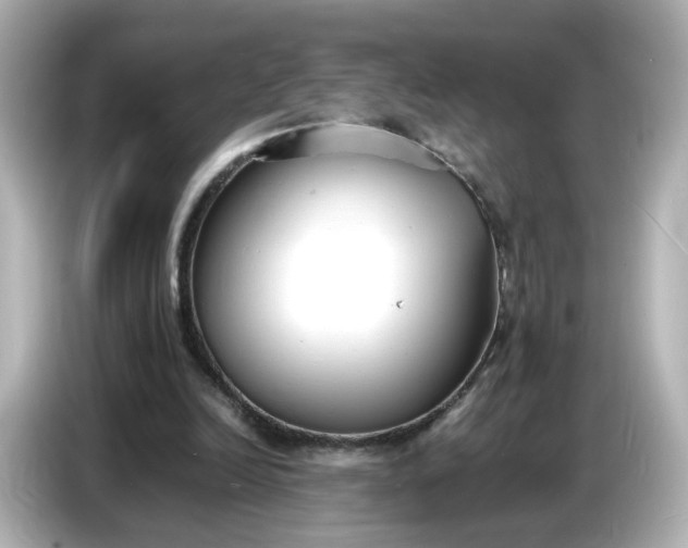 X0000086910246200704301043