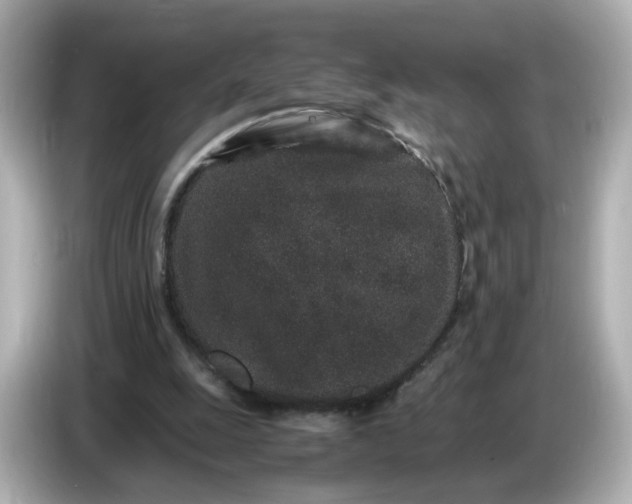 X0000086910247200704301043