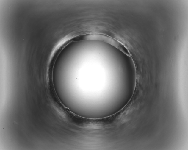 X0000086910248200704301043