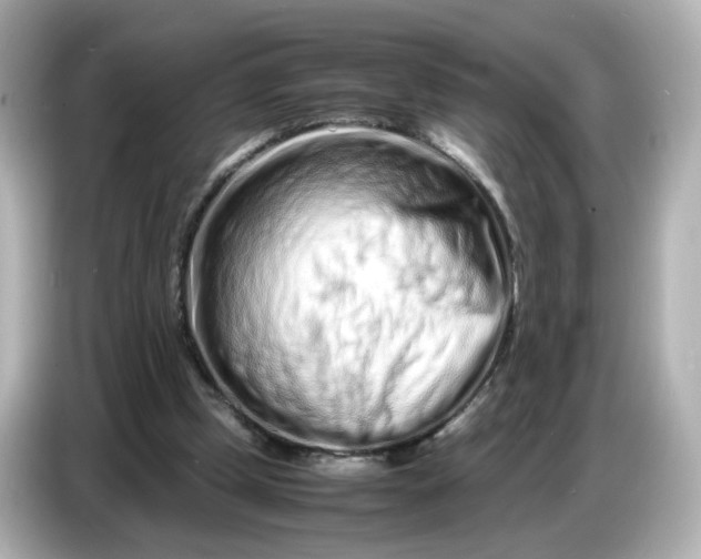 X0000086910249200704301043