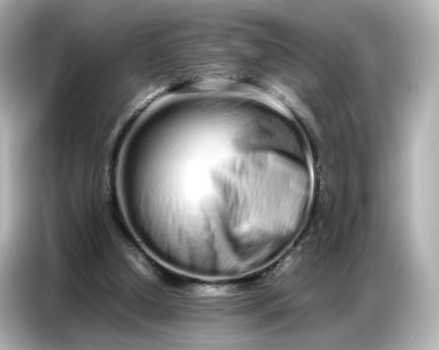 X0000086910250200704301043