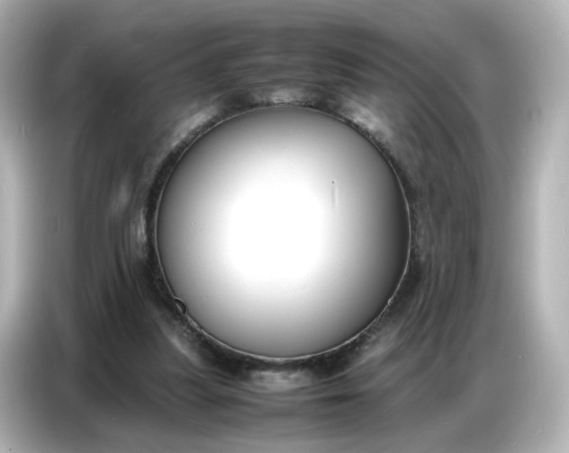 X0000086910251200704301043