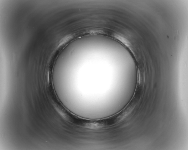 X0000086910253200704301043